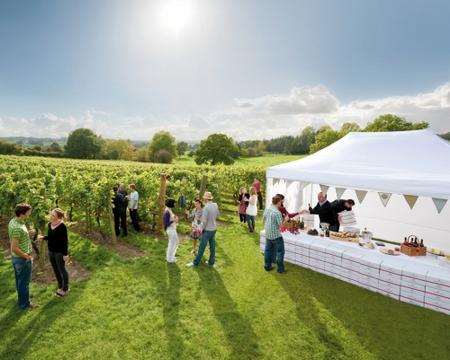 Chapel Down vineyard, as part of Visit Kent's Kent Contemporary campaign