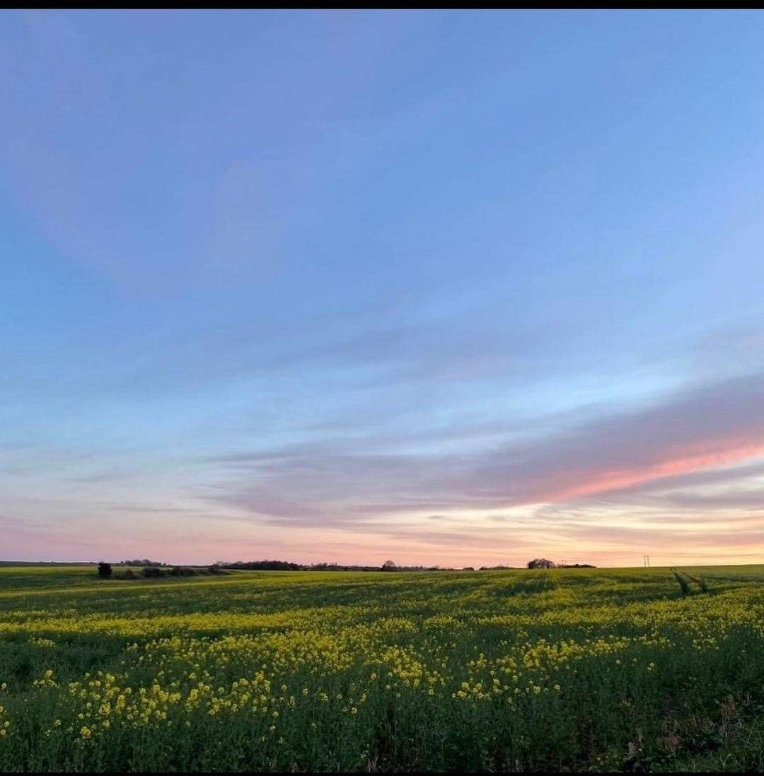 The proposed field for the airstrip. Picture Chocks Go Away