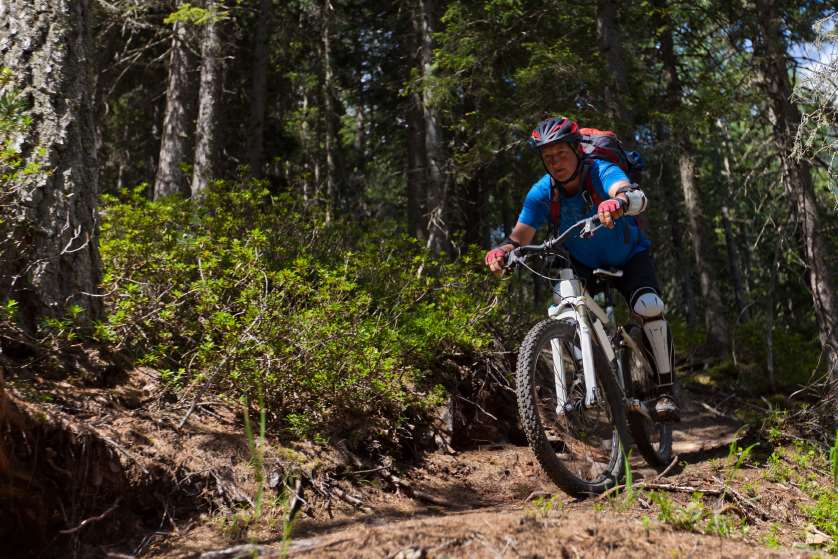 Explore the great outdoors under a natural canopy at Bedgebury Pinetum