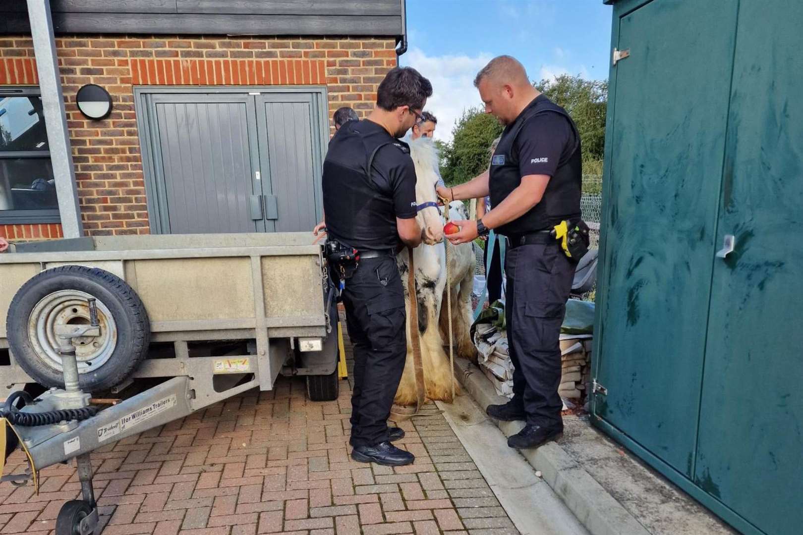 British Transport Police were called to rescue a horse on a train line near Hoo. Picture: British Transport Police