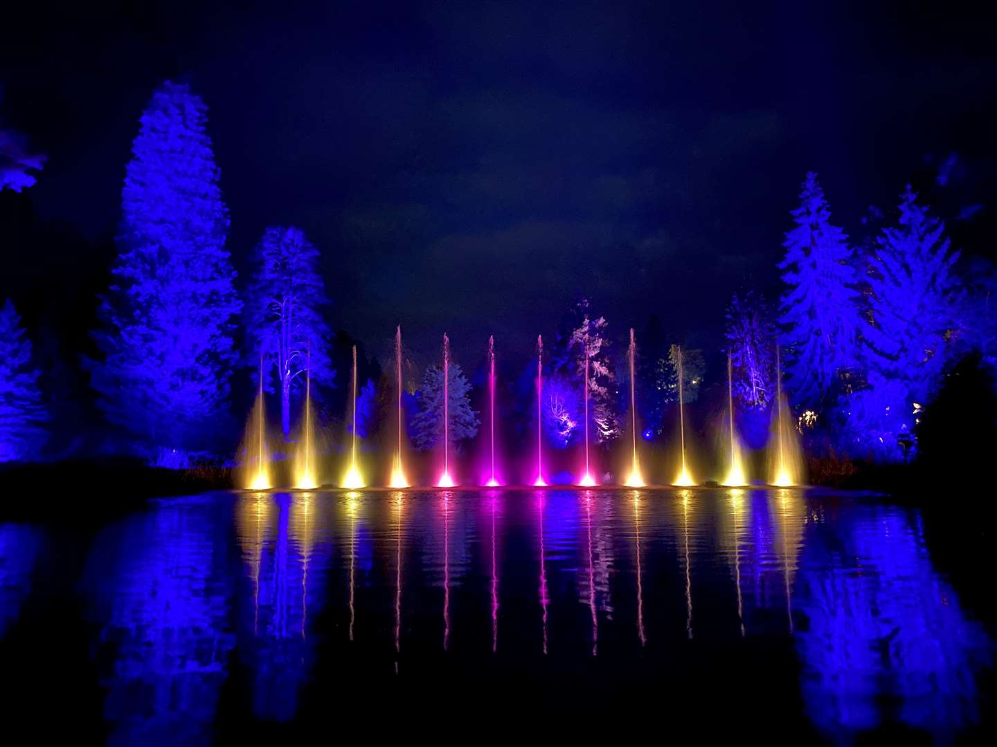 Each installation, including a stunning water display, was timed to a festive song