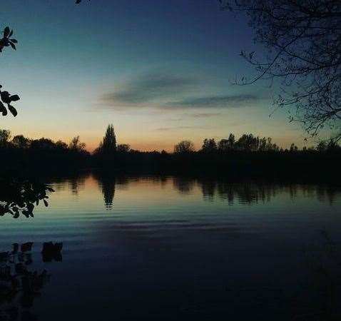 Adrian Simpson taken around Leybourne Lakes. Picture: Adrian Simpson (43019523)