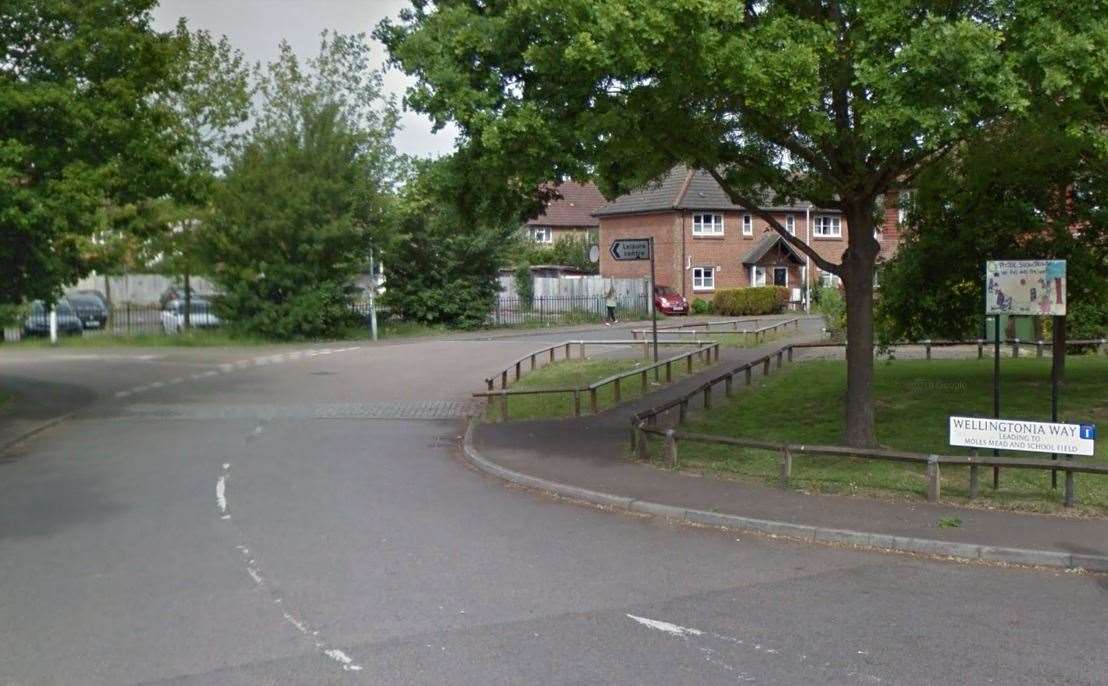 The incident happened in Wellingtonia Way, Edenbridge. Picture: Google Street View