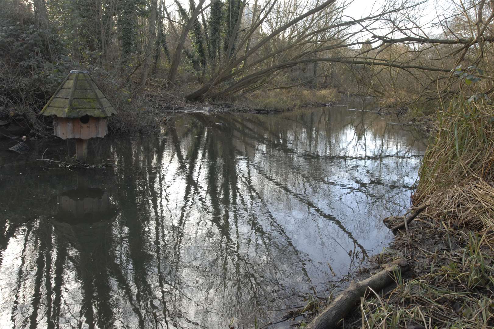 A view of the Len Valley Nature Reserve