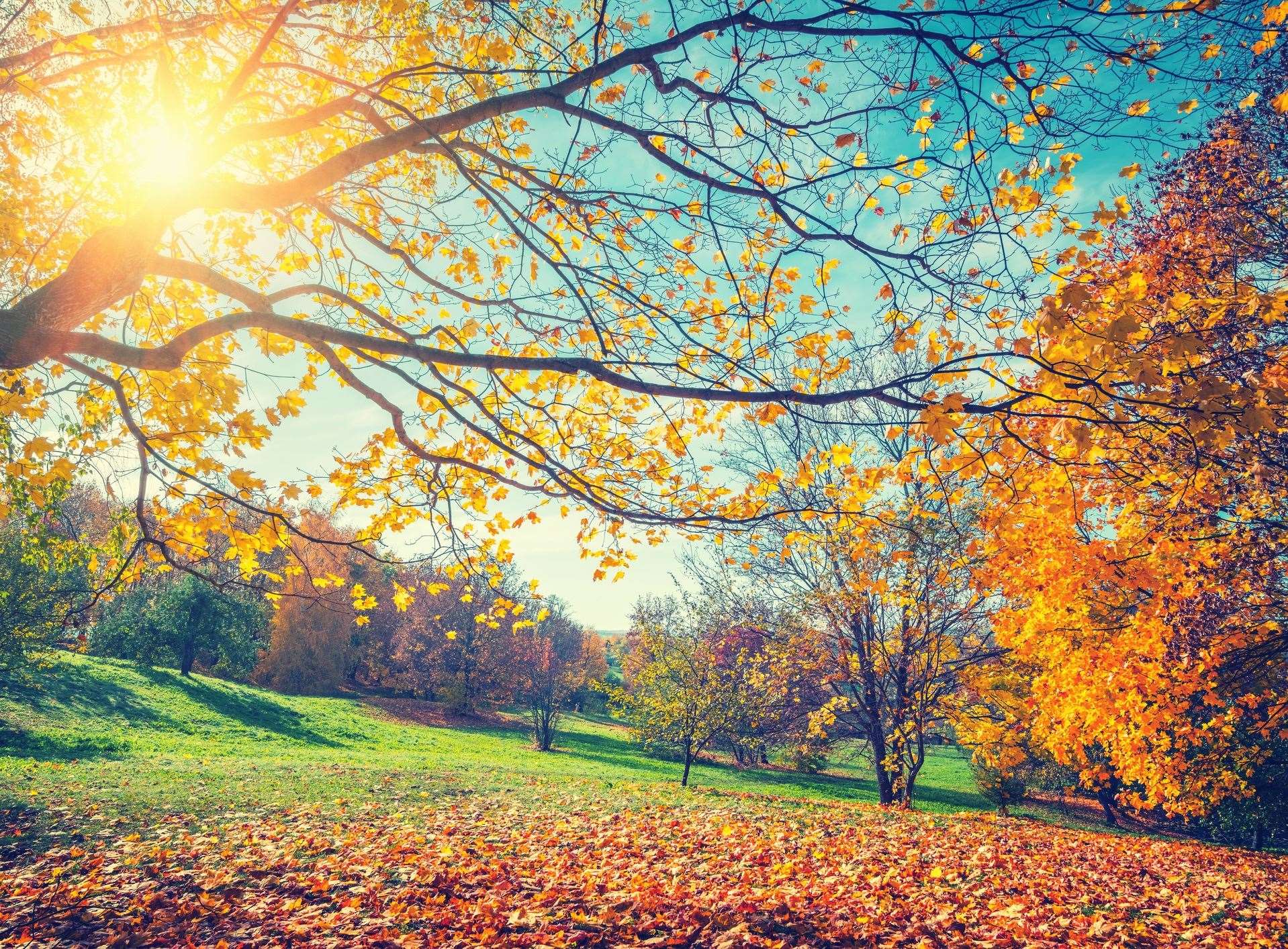 We're set to enjoy unseasonably warm temperatures this week. Stock image