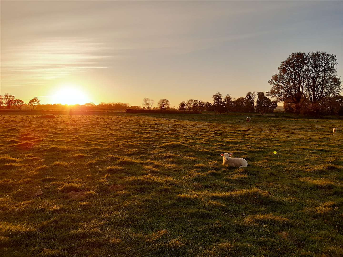 The county will be bathed in sunshine over the first half of this week