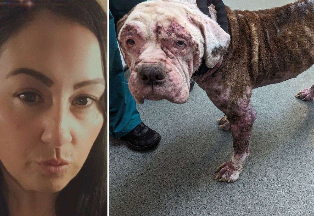 Wouldham mum banned from keeping dogs for life after starving son’s bulldog and failing to seek vet treatment for chronic skin condition