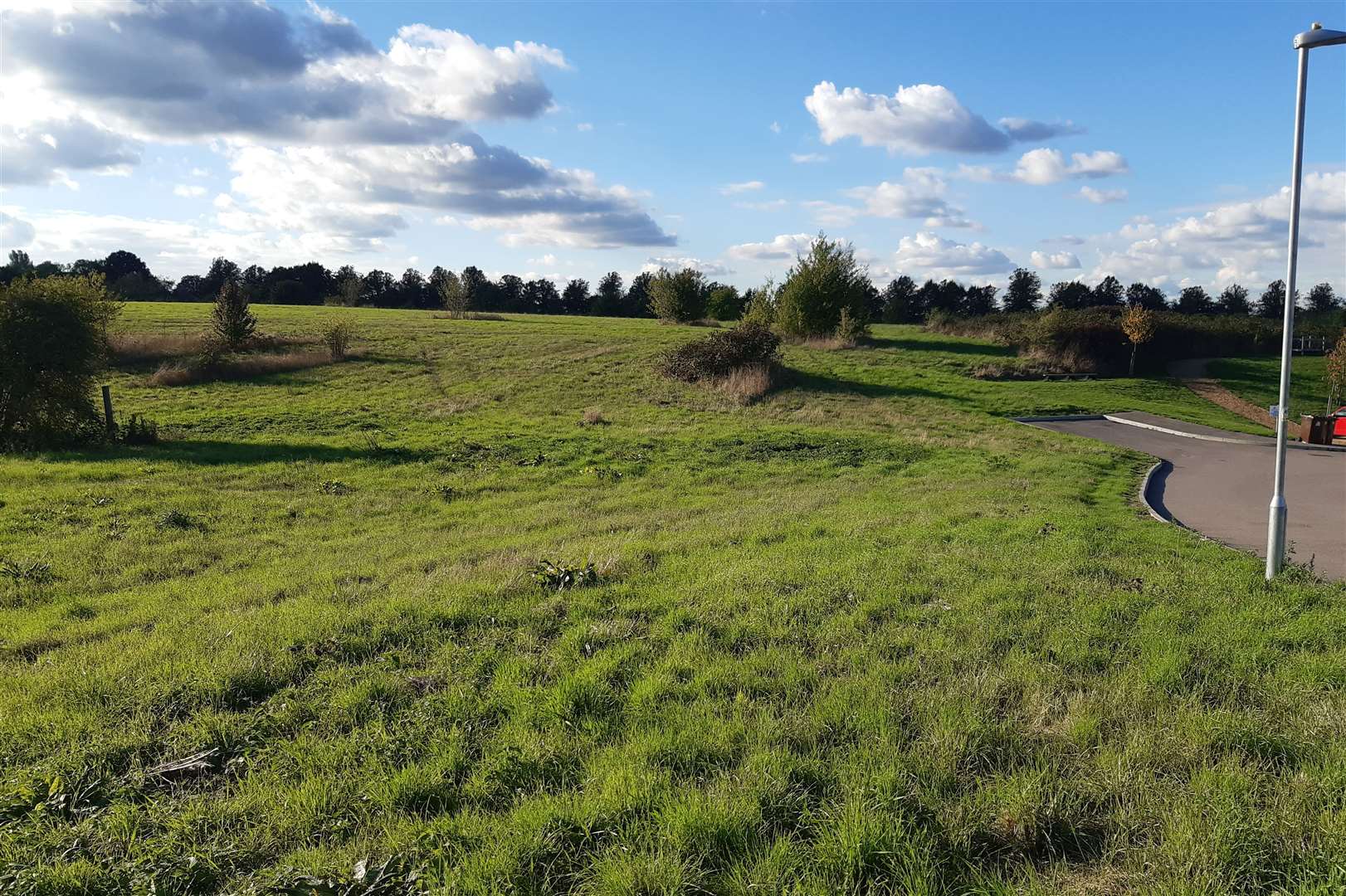 The land at Bunyards Farm which could be declared a Village Green