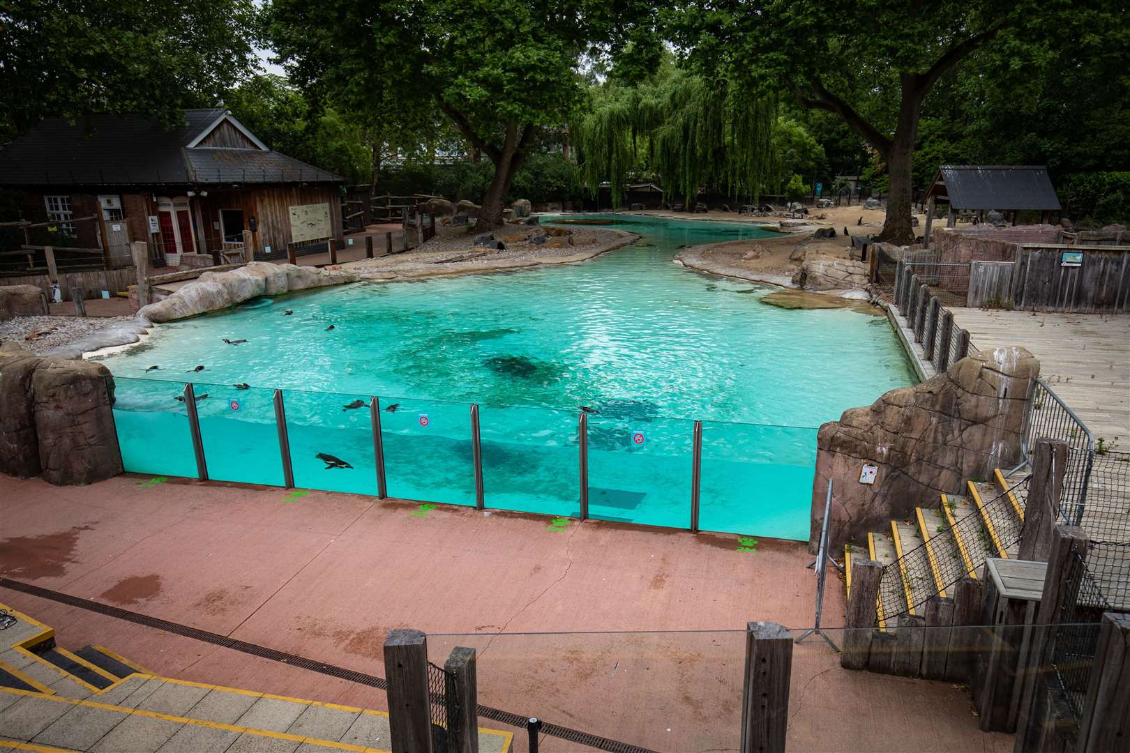 New signage at the penguin enclosure … (Aaron Chown/PA)