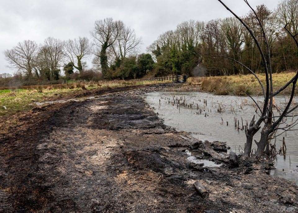 Fire has destroyed the boardwalk at Hambrook Marshes.