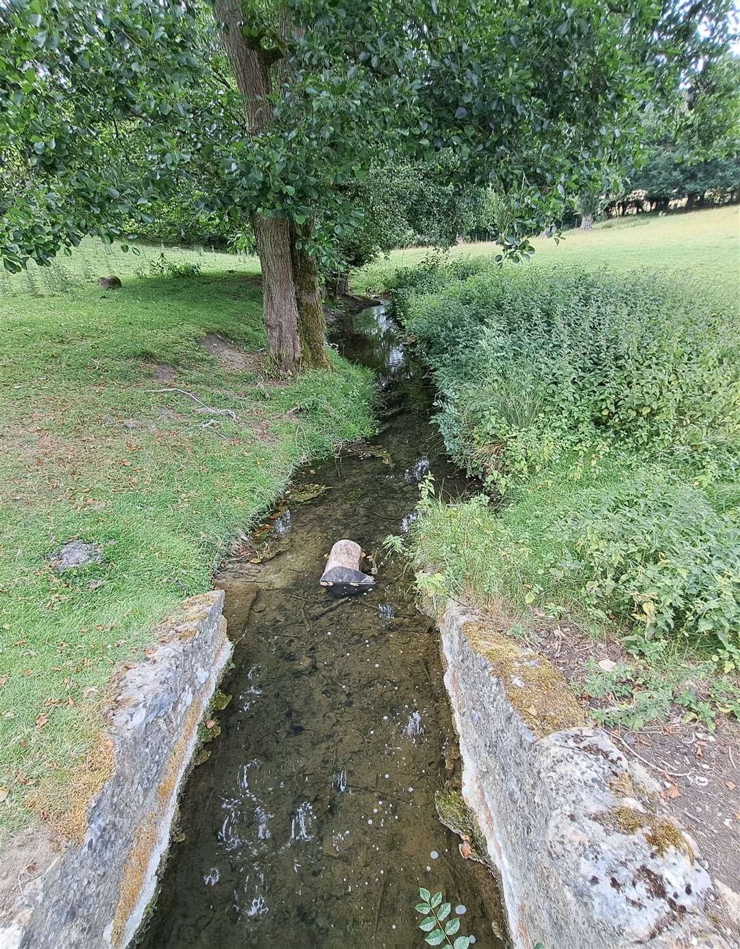 The Loose Stream after it leaves Heron Pond