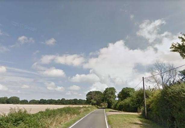 A number of cats have been hit by cars and killed along Tyler Hill Road, near Canterbury. Picture: Google Street View