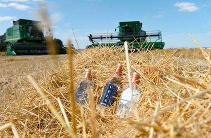 Copper Rivet Distillery harvesting its crops on Sheppey (6775507)