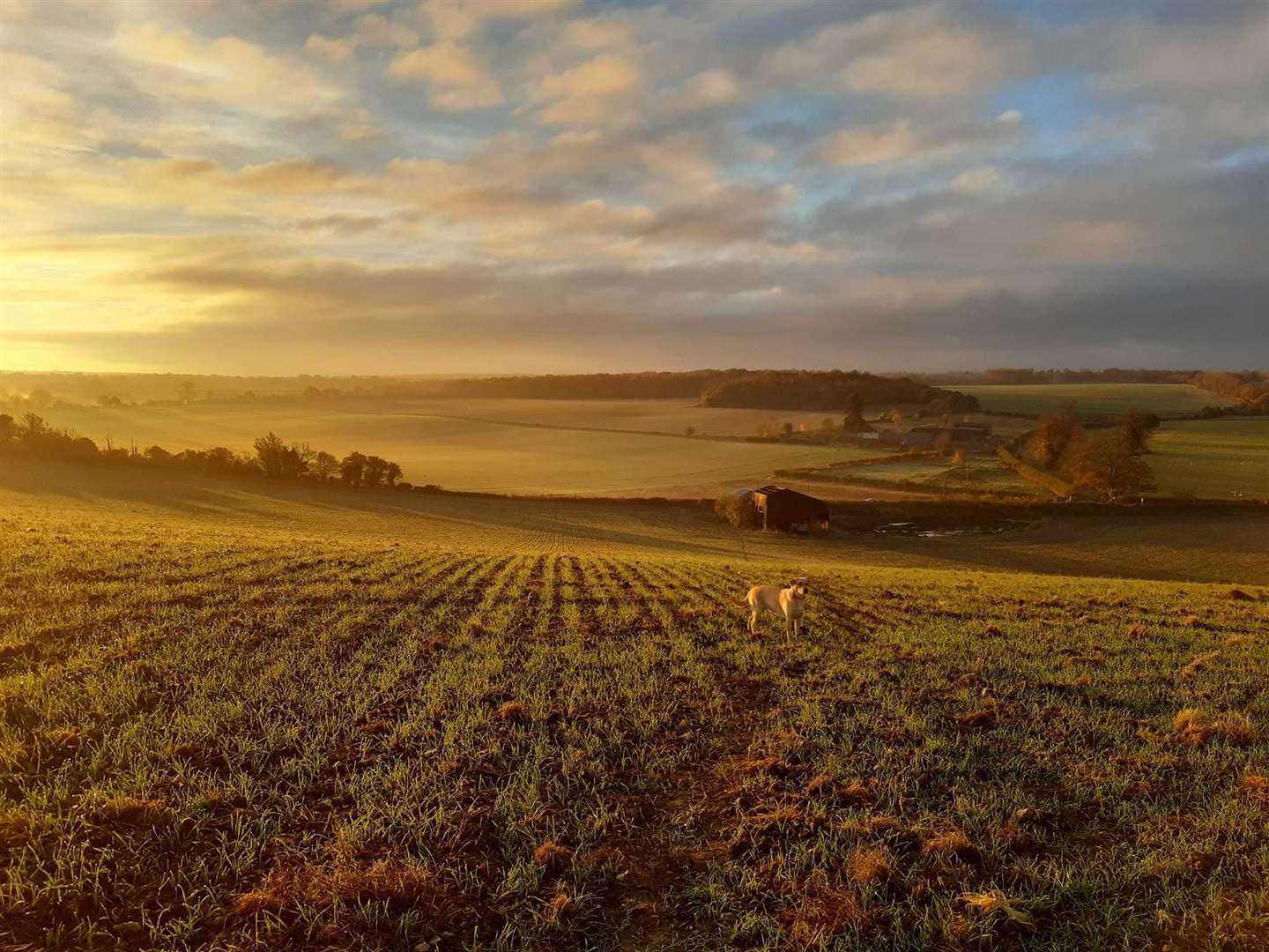 The picturesque site off Shalmsford Street in Chartham Picture: Michelle Thomson