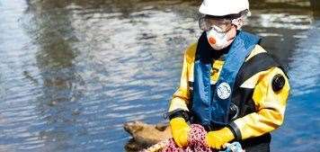 Volunteers came close to rescuing Bradley the Seal from the River Medway on Thursday. Picture: Hawkeye Aerial Media