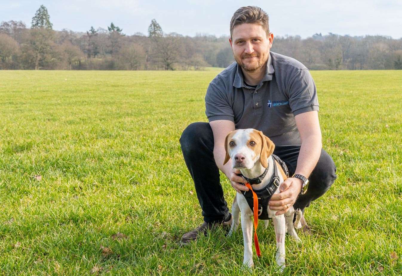 Beagle hit by train returns to Tunbridge Wells home 10 days after going ...