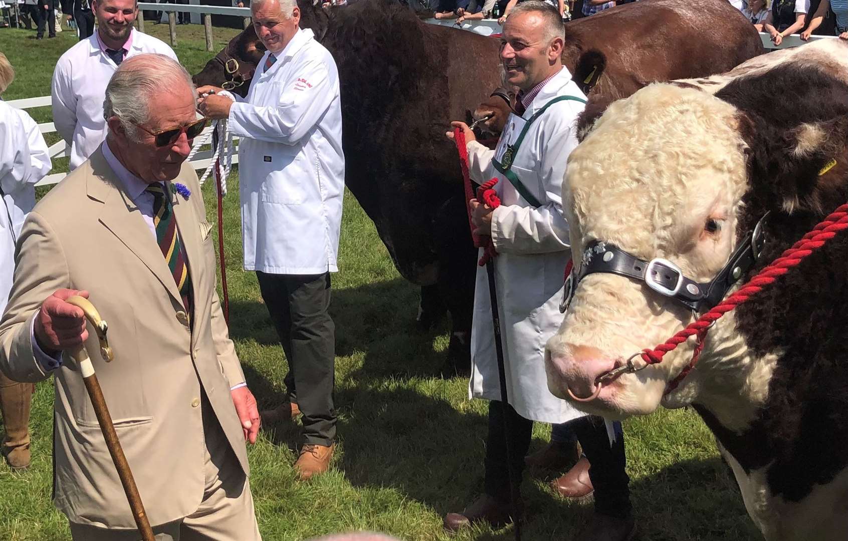 The Prince of Wales meets 1,550kg champion Hereford Bull Moralee One Rebel Kicks during a visit to the Great Yorkshire Show (Tom Wilkinson/PA)