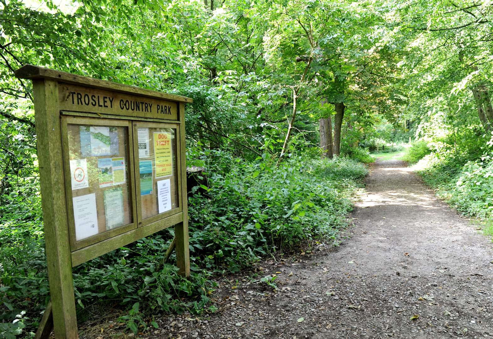 coronavirus kent country parks including brockhill and shorne woods to stay open