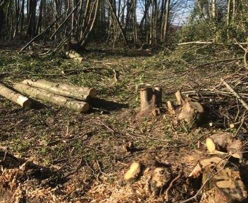 The stolen wood is reportedly being sold on Facebook