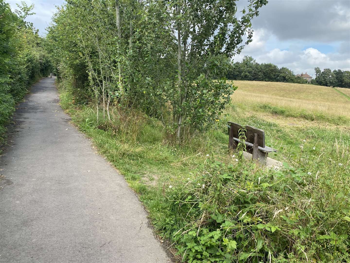 The western bypass could pass through fields and meadows. Picture: Alex Ricketts