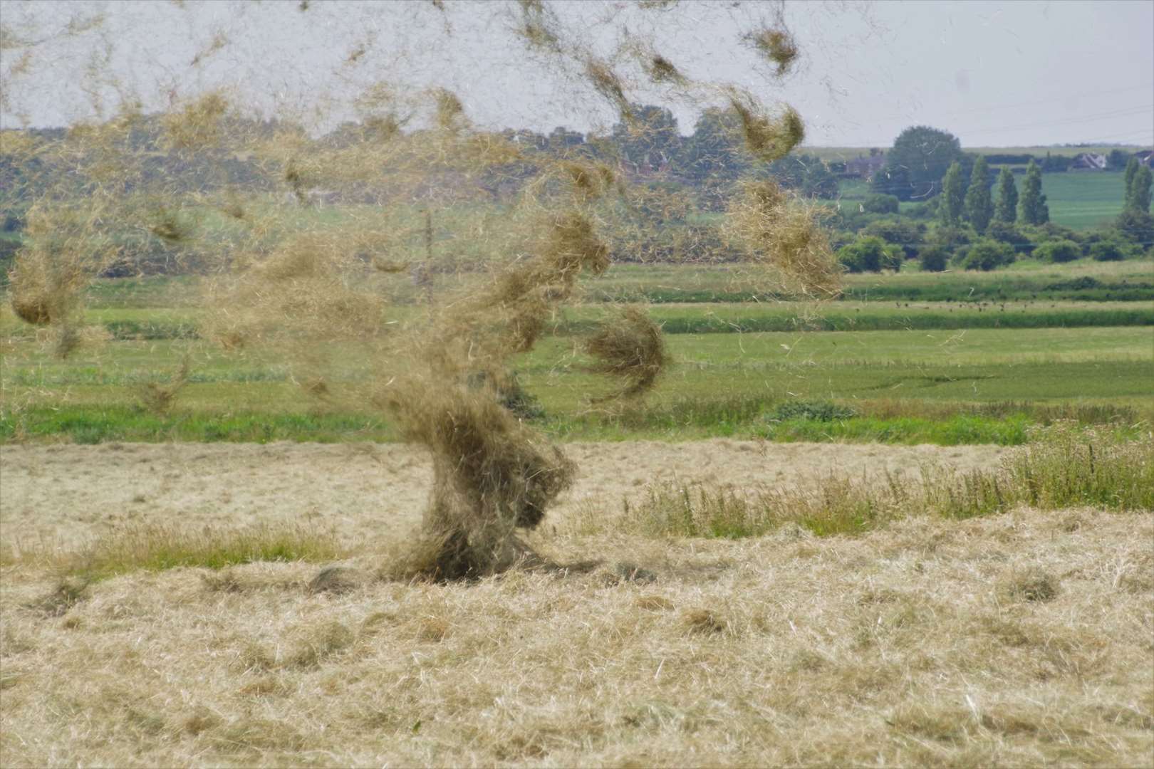 Grass was thrown into the air by a dust devil near Sandwich. Picture: Andy Vilday