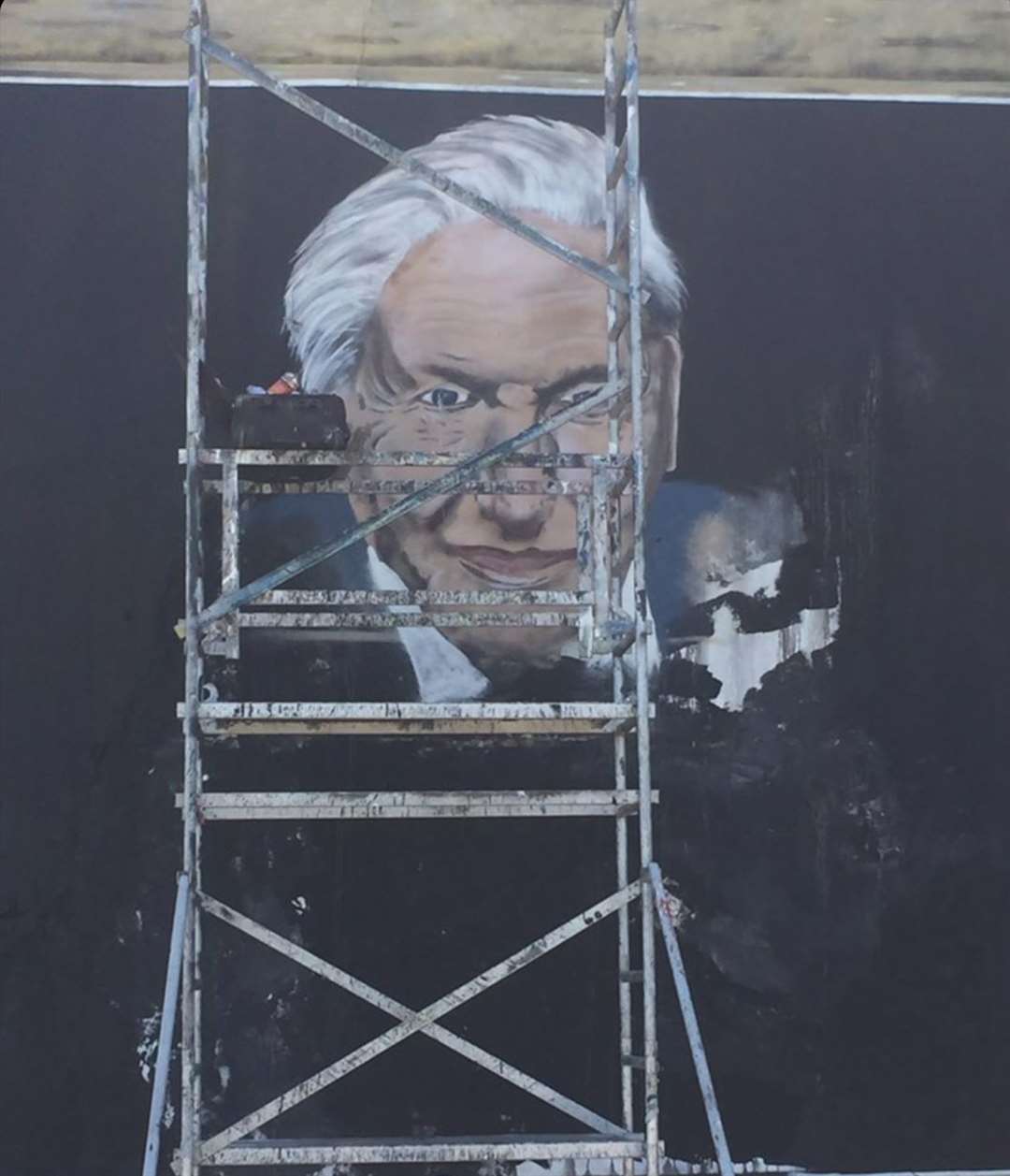 Graffiti artist Paddy Watts hopes the Sir David Attenborough mural will prompt beachgoers to treat the seaside with respect. Picture: @pad303