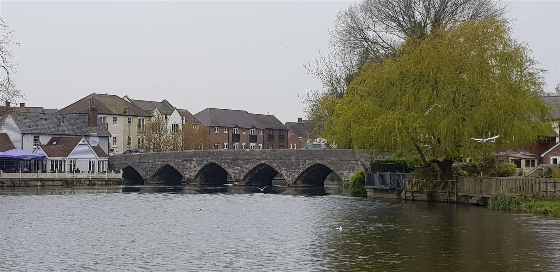 Fordingbridge (9494820)