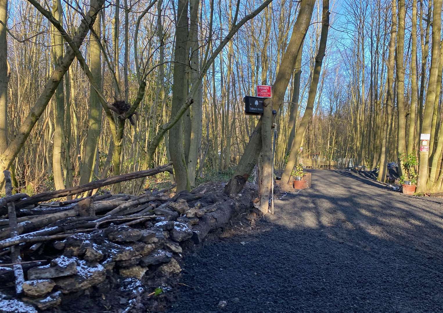 A tarmac road at the illegal development in Fowler's Stone Wood