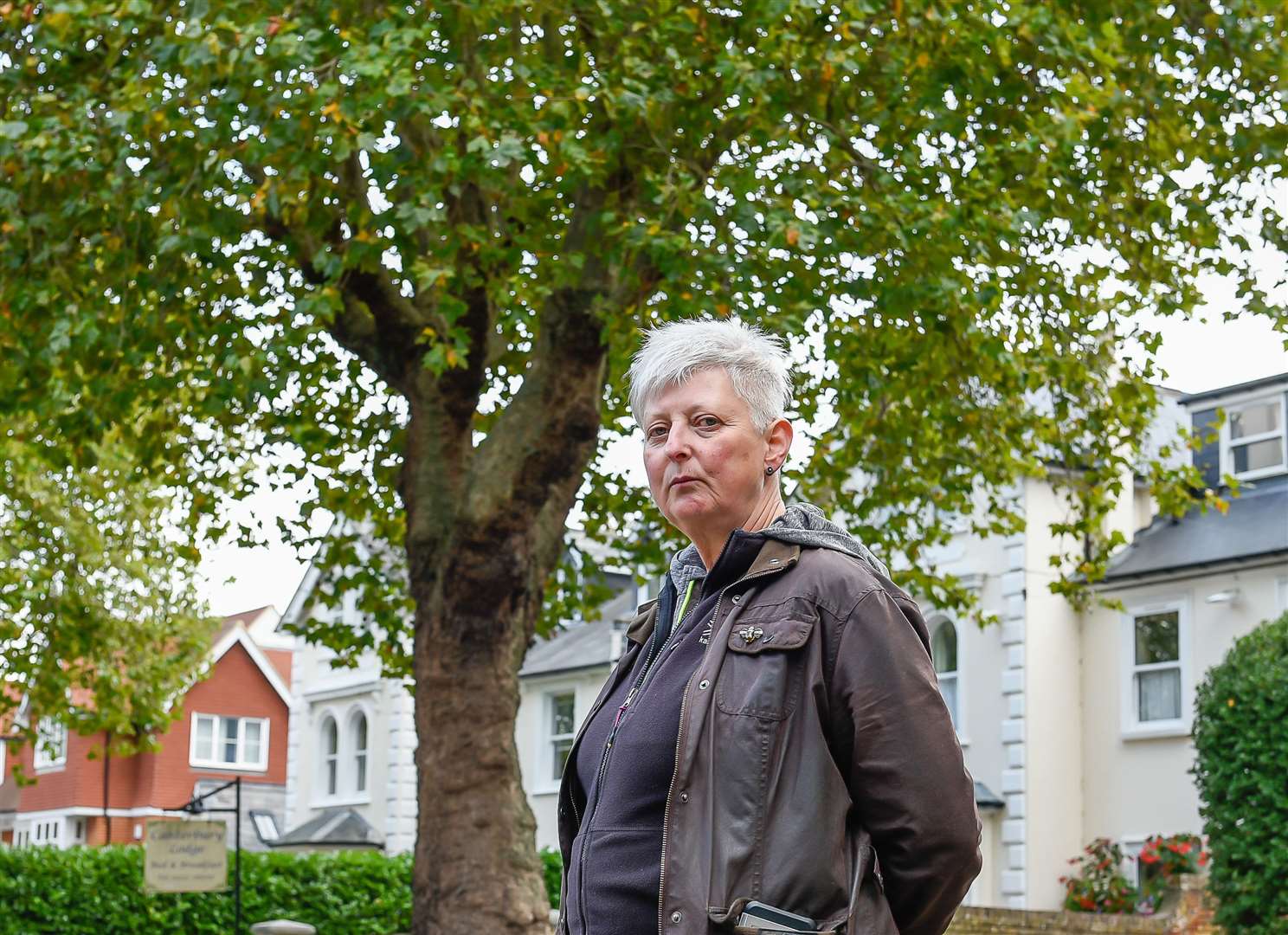 Helen Applegarth with 130-year-old plane tree she is trying to save from being axed by KCC in London Road, Canterbury