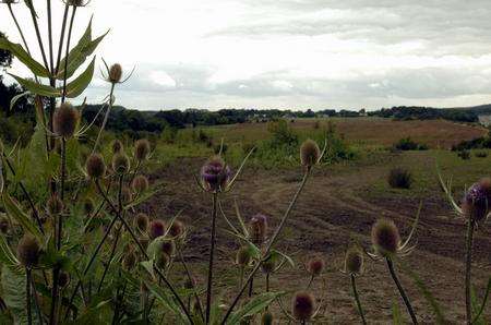 Part of the proposed KIG site at Bearsted.