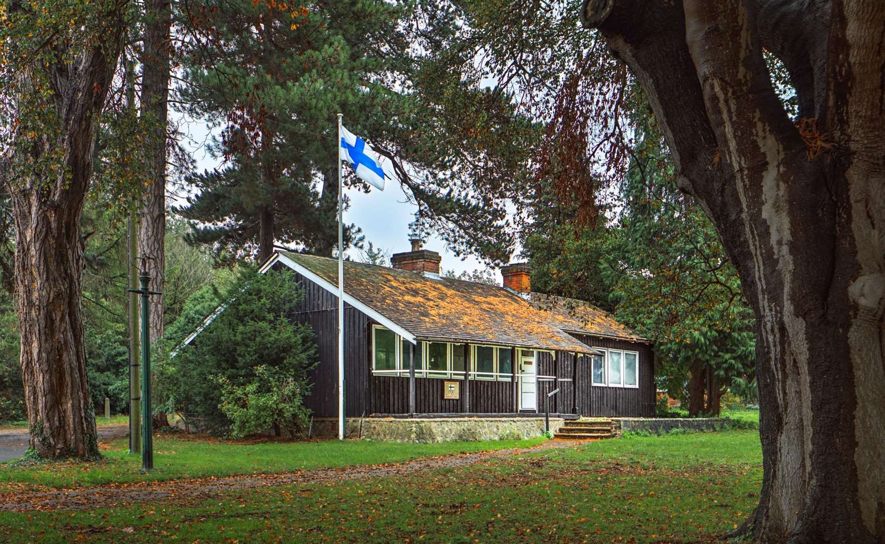 The sauna in its woodland glade