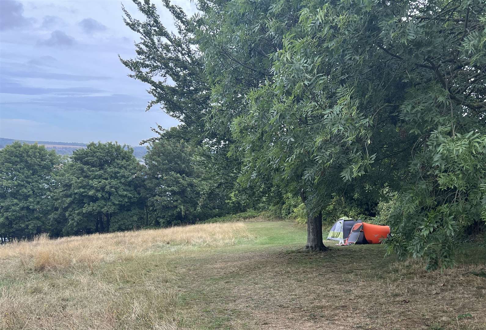 Homeless people have been living at a Rochester park for seven weeks. Picture: Megan Carr