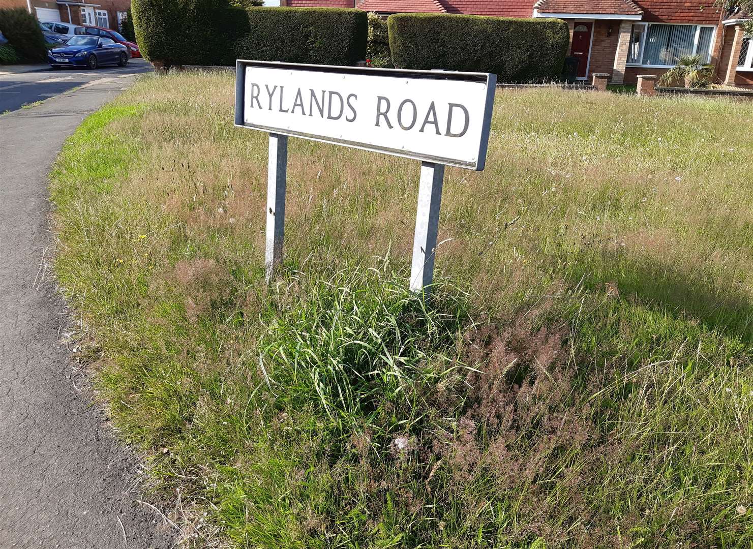 Pictured yesterday, this patch of grass in Rylands Road is still overgrown