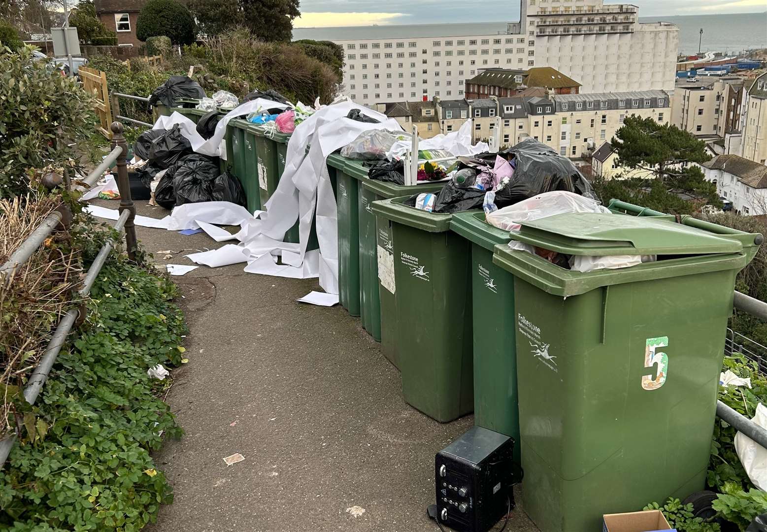 Overflowing bins in Priory Gardens have frustrated residents. Picture: Louis Tomlinson