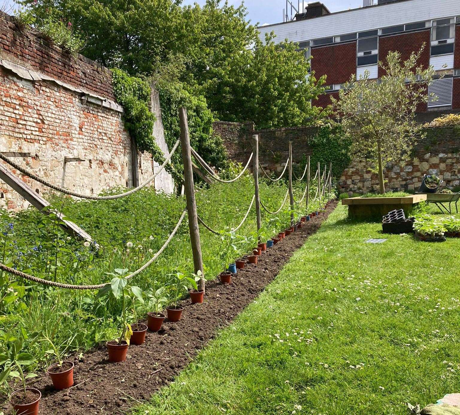 The historic and picturesque Franciscan Gardens in Canterbury were due to welcome visitors back on June 10