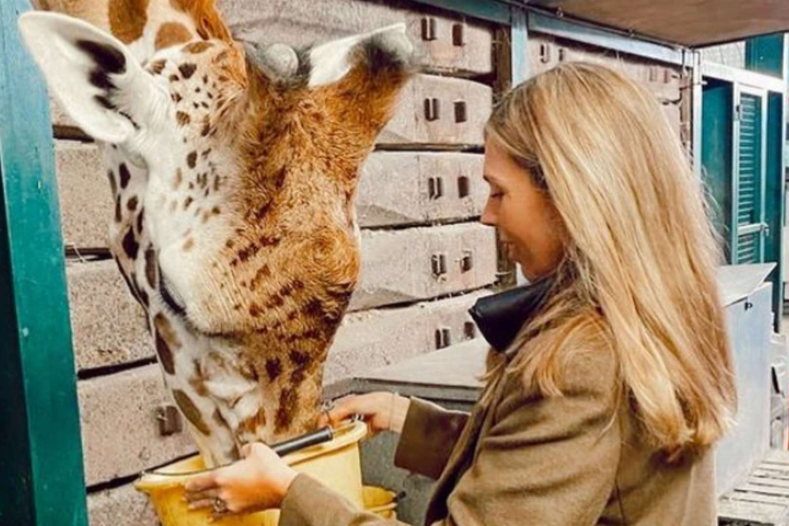 Carrie Johnson is head of communications for the Aspinall Foundation, which runs Howletts and Port Lympne.. Picture: Carrie Johnson on Instagram