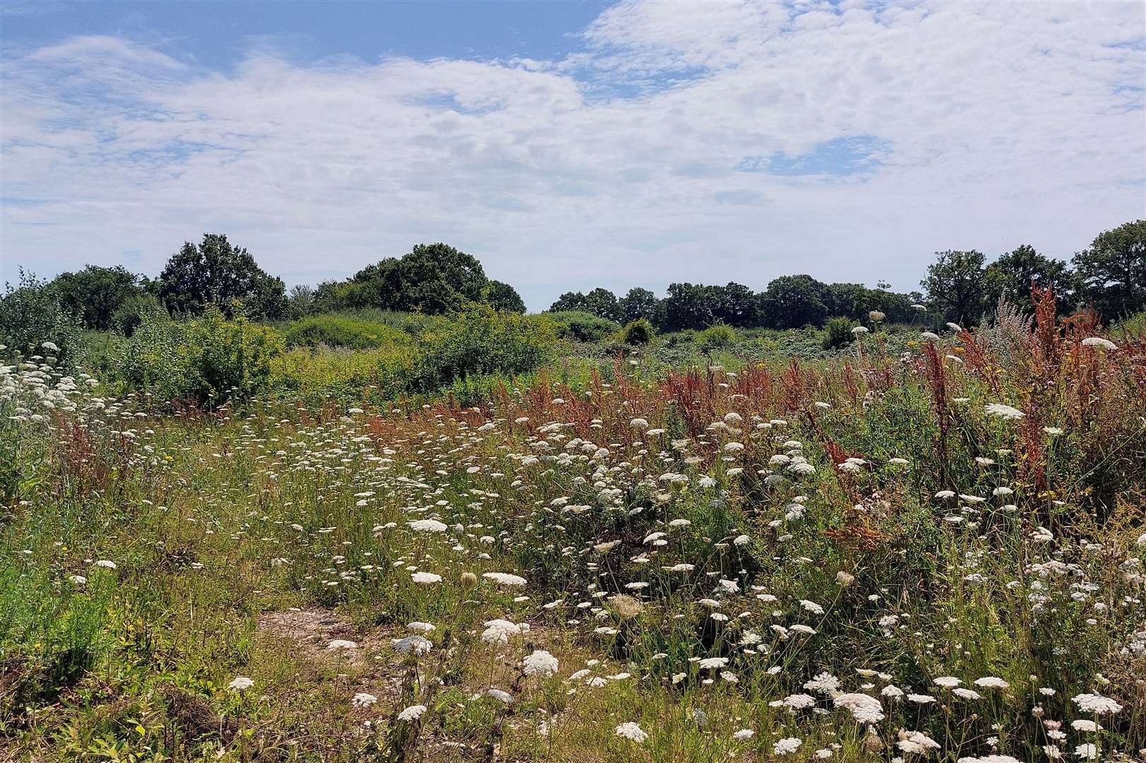 How the land set for the eco-home currently looks