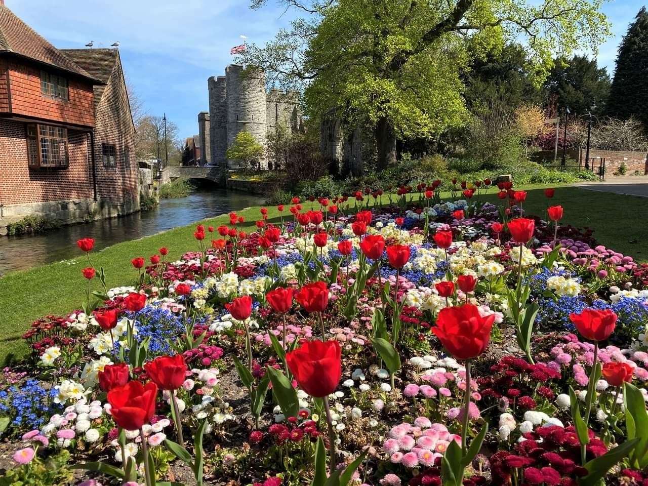 The flower bed, pictured in full bloom last summer