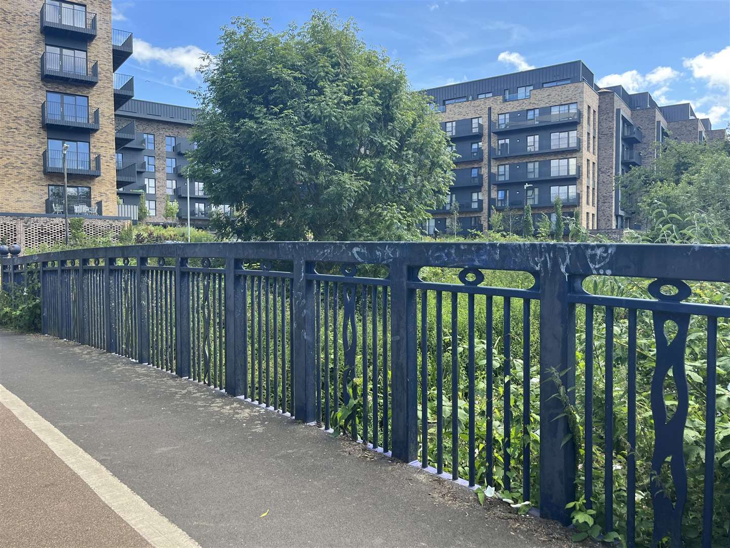 The assault happened near this bridge on the edge of the park