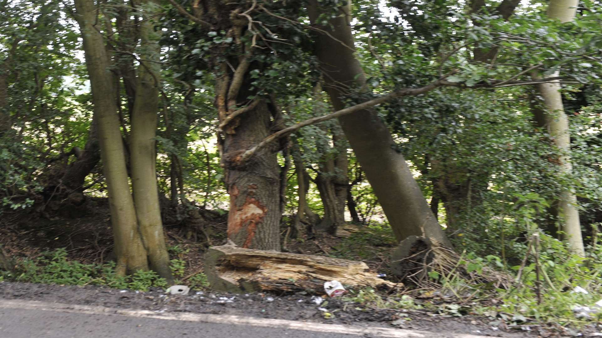 Scene of the crash in Shalloak Road in which Emily Laker was killed