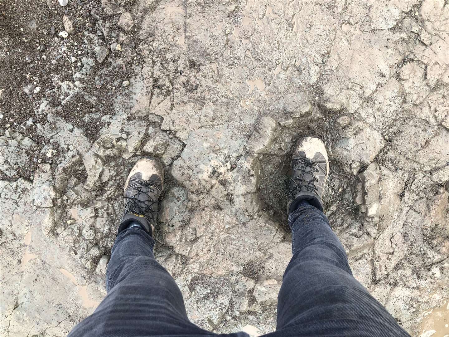 Experts at the Natural History Museum examined the footprints and concluded they were made more than 200 million years ago (Natural History Museum/PA)