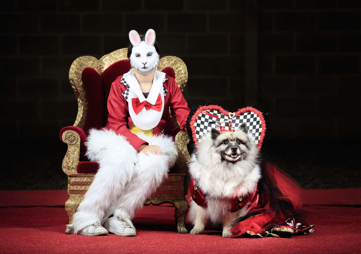 Lily Blathorn with Keisha, a keeshond dog, dressed as the White Rabbit and Queen of Hearts (Danny Lawson/PA)