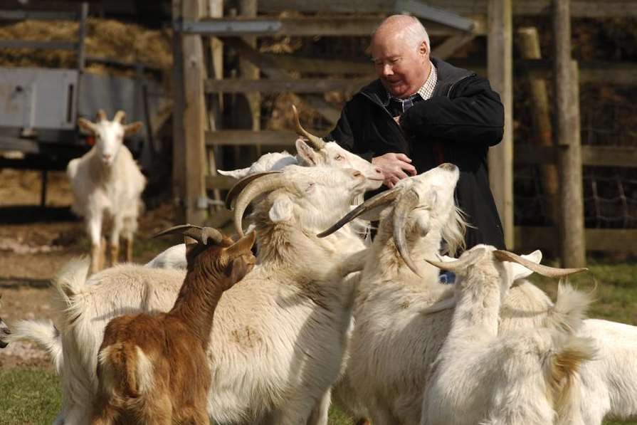 Buttercups Goat Sanctuary just outside Maidstone