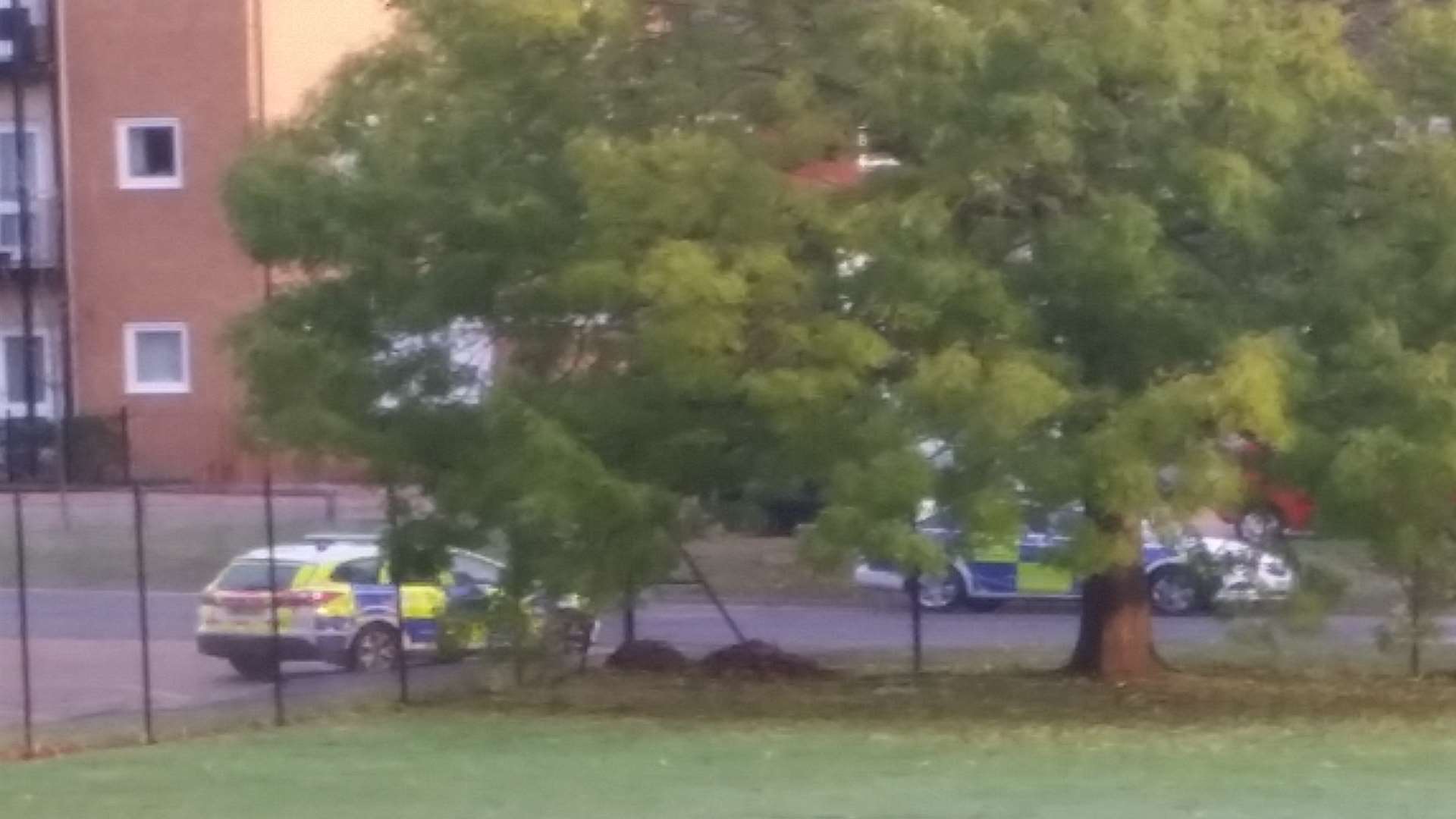 Armed officers were called to the scene