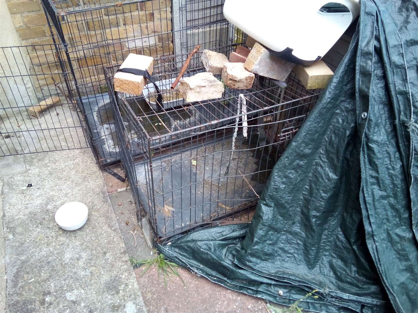 The cages found at an address in Gillingham. Photo: RSPCA