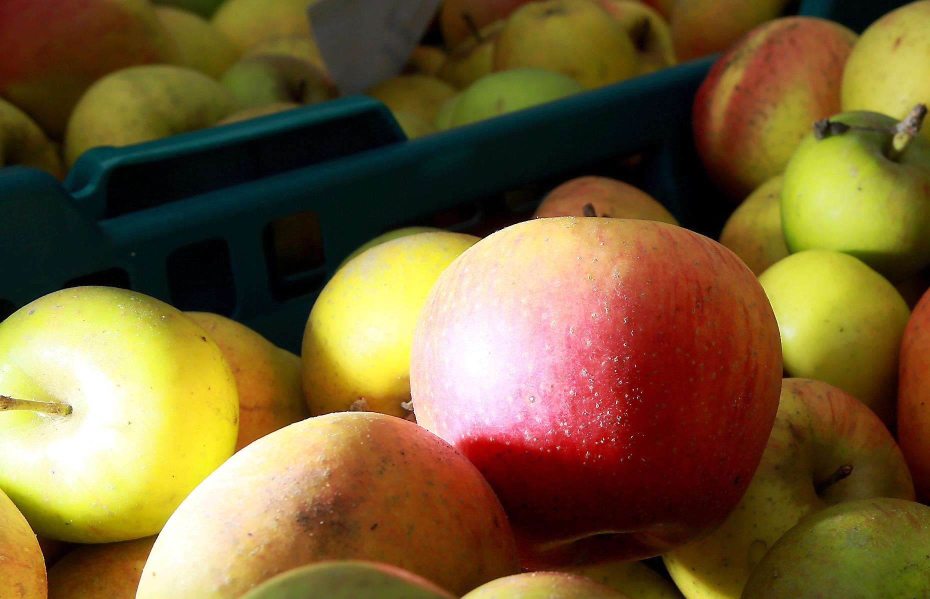 There will be many varieties of apples at the Apple and Cider Fayre at Kent Life in Maidstone