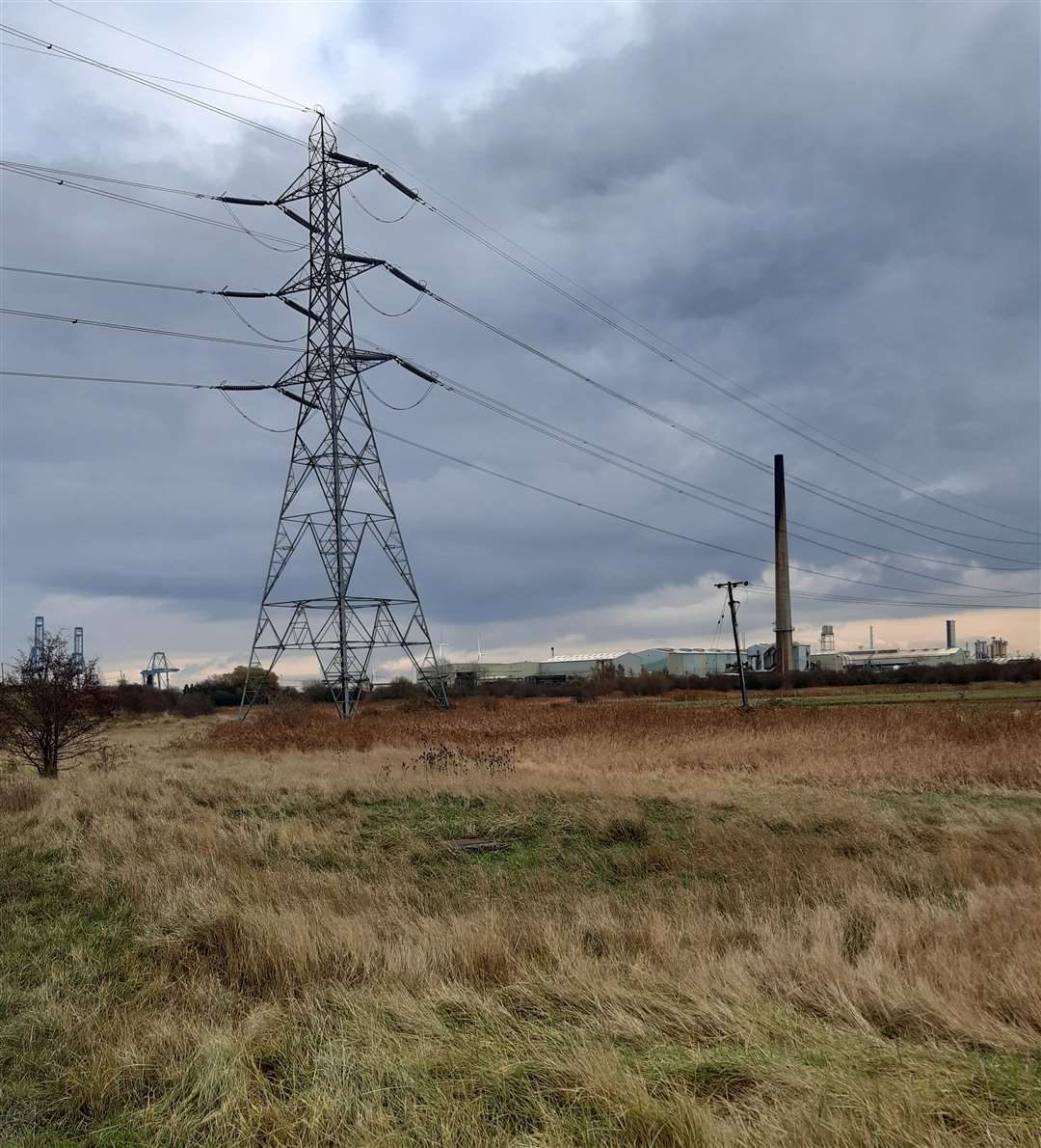 Swanscombe Marshes where there are plans to build the London Resort theme park