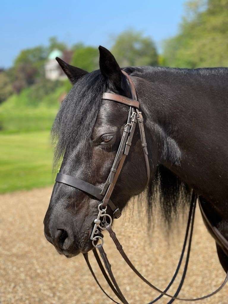 Fell Pony Emma (Buckingham Palace/PA)