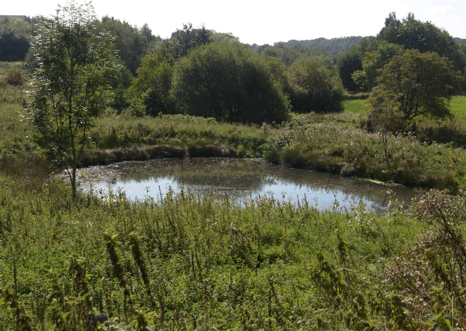 The site of the proposed Trinity Lakes development in Kennington goes across 150 acres. Picture: Graham Skinner