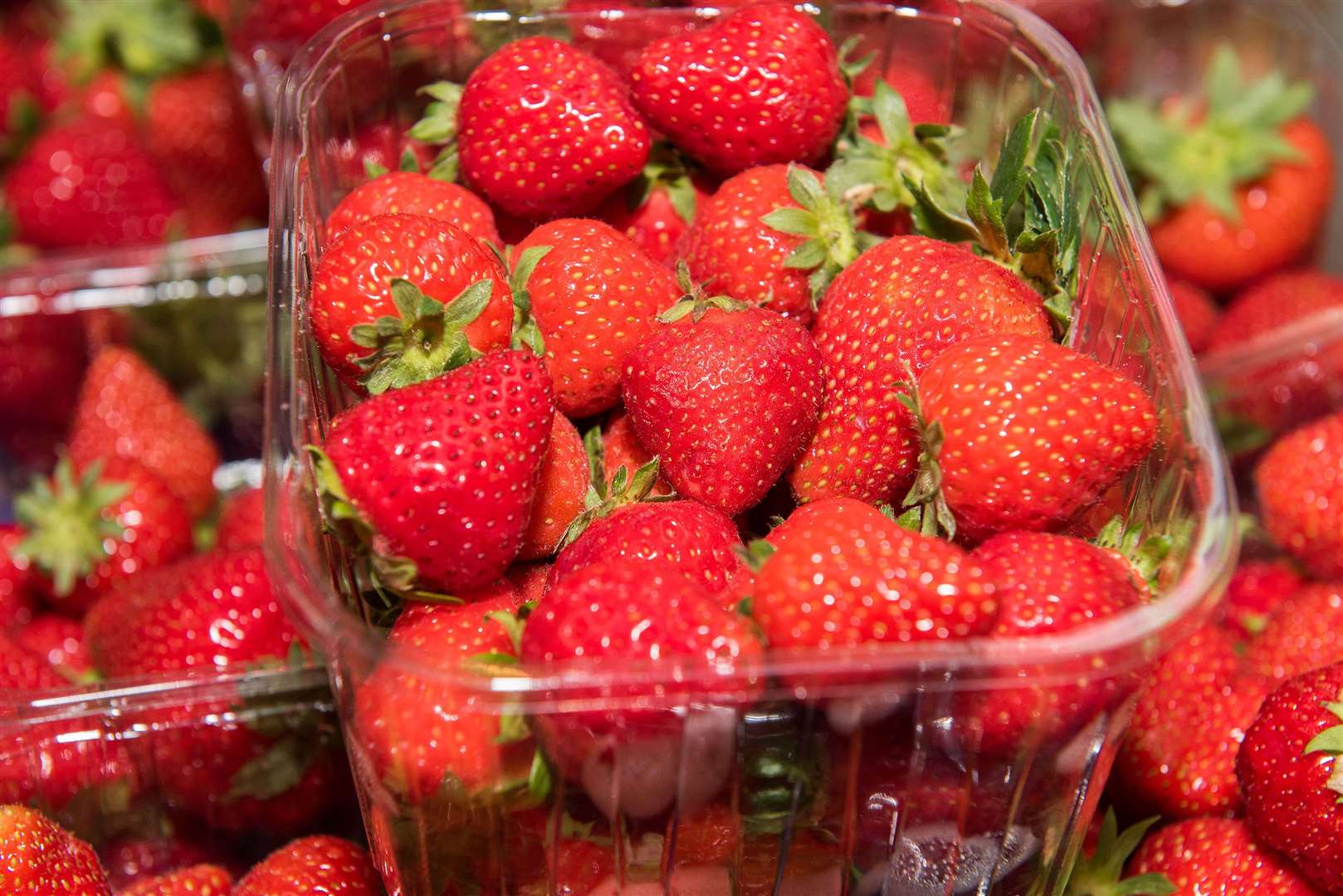 Tuck into fresh strawberries picked by yourself and your family this summer. Picture: Mark Westley